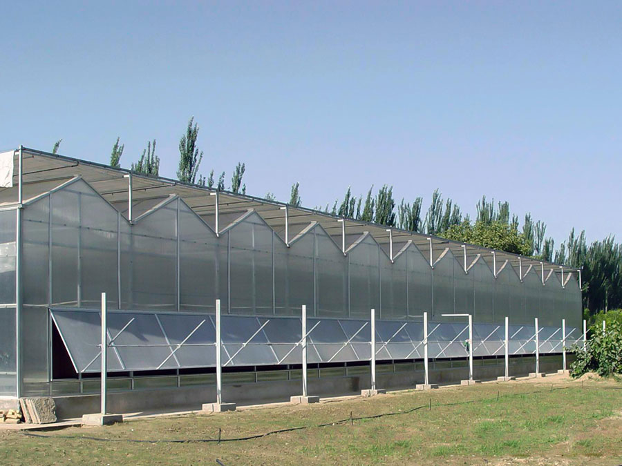 陽(yáng)光板溫室