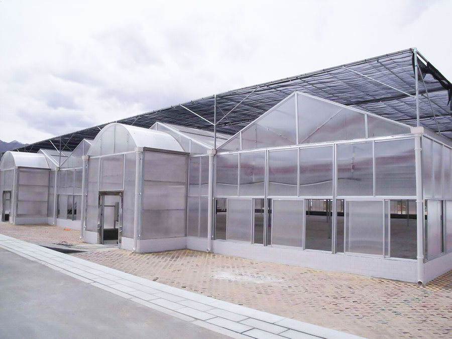 陽(yáng)光板溫室