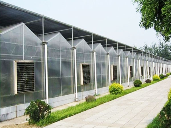 陽(yáng)光板溫室